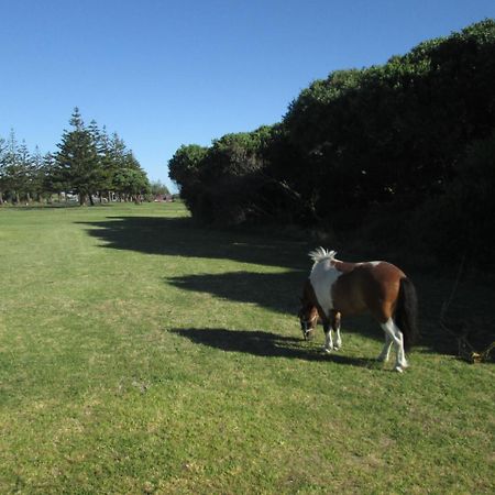 Monday Seaside Cottage Whanganui Dış mekan fotoğraf