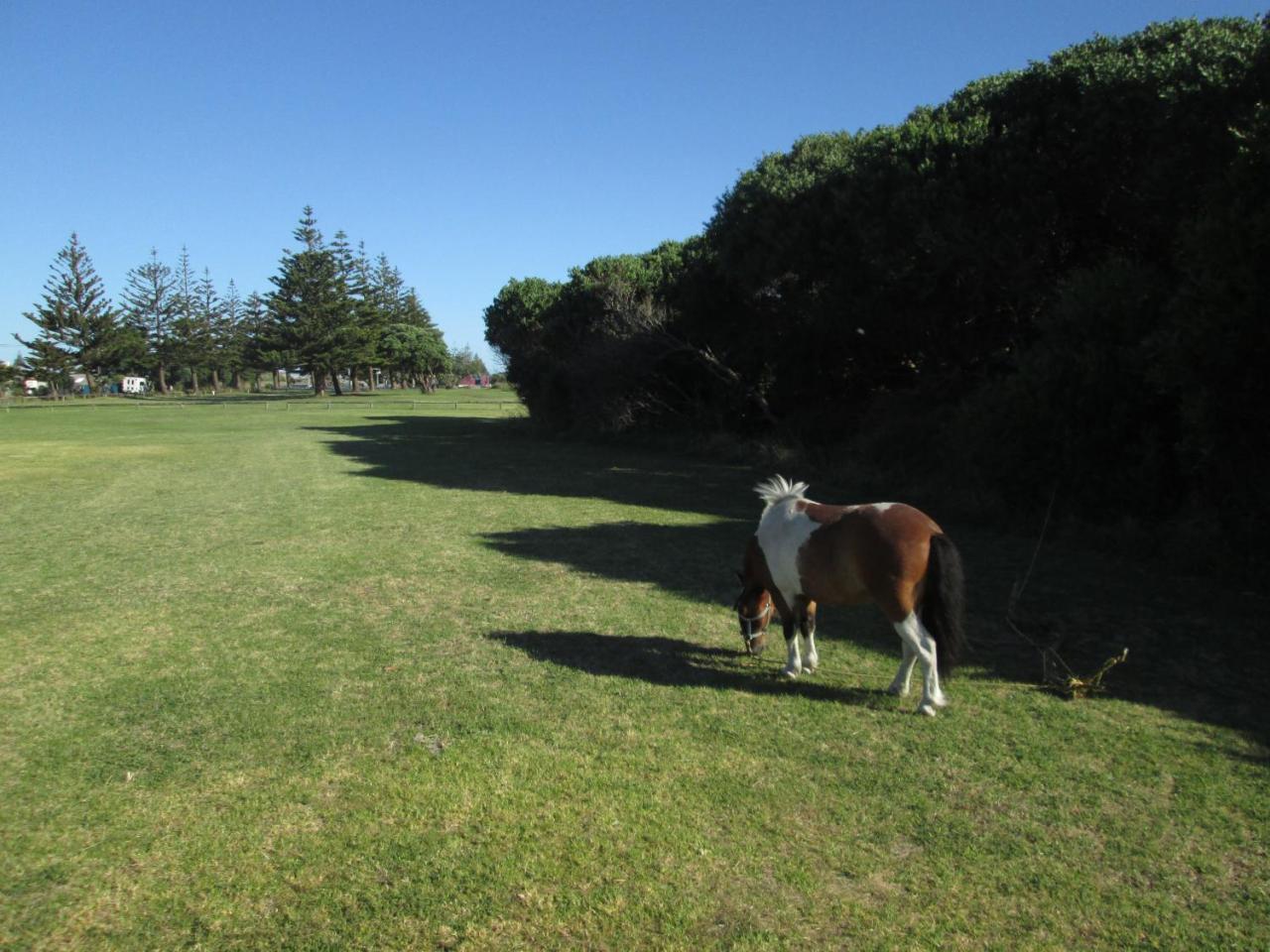 Monday Seaside Cottage Whanganui Dış mekan fotoğraf